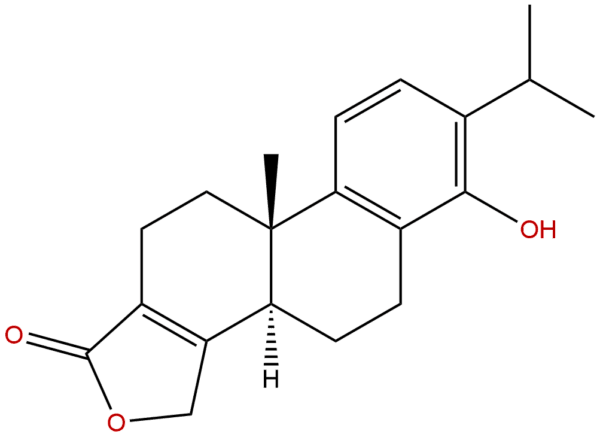 74285 86 2 - BIORLAB