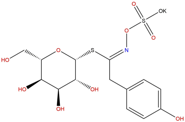 7429d96a35609c909ec46bf12a471b3c - BIORLAB