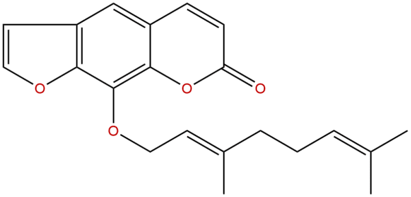 7437 55 0 - BIORLAB