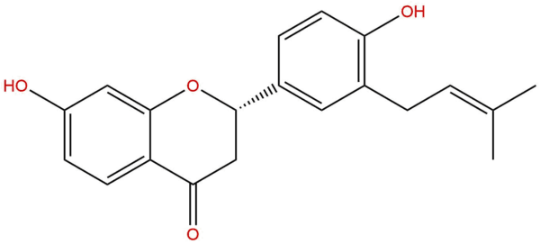 77263 08 2 - BIORLAB