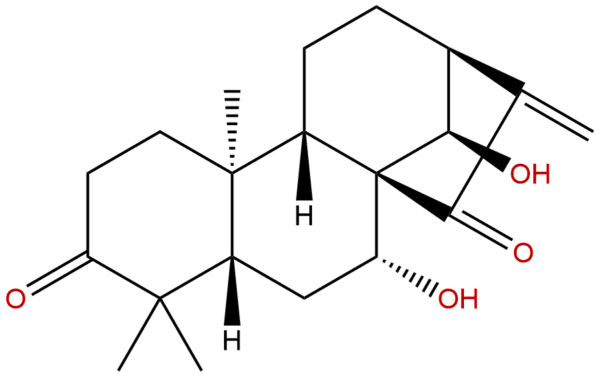 79498 31 0 - BIORLAB