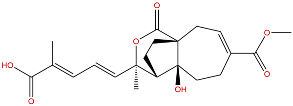 82601 41 0 - BIORLAB