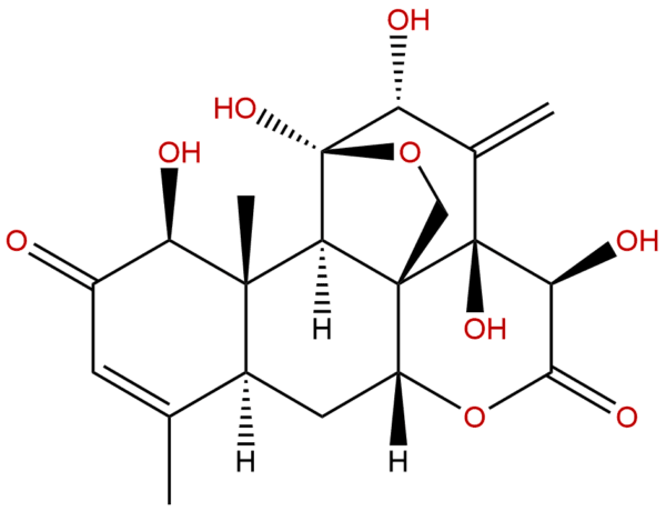 84633 29 4 - BIORLAB