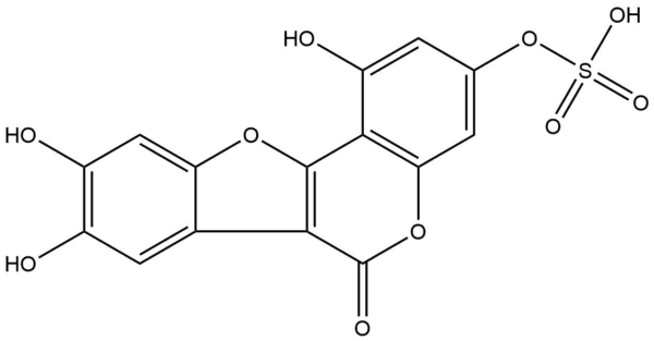 84b58ded9319e7fd0a68619f200b2dfa - BIORLAB