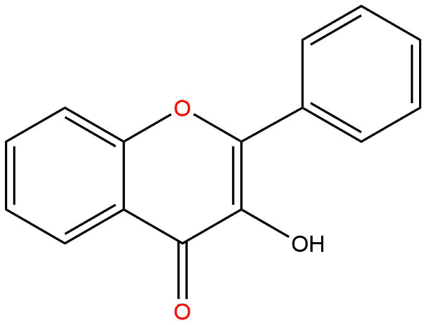 888affc4e911ffb153487908803044b8 - BIORLAB