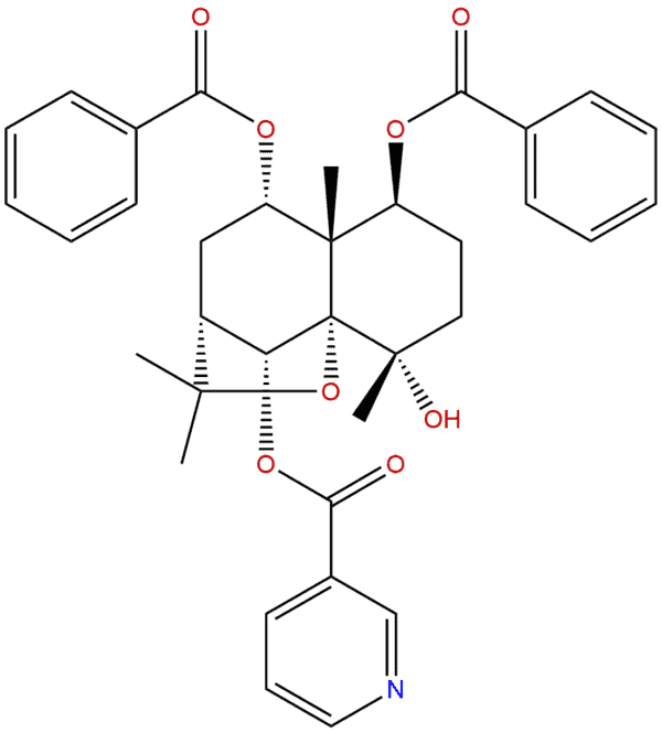 89ea12f6dd0d23bfb9fd72a8dd49b91e - BIORLAB