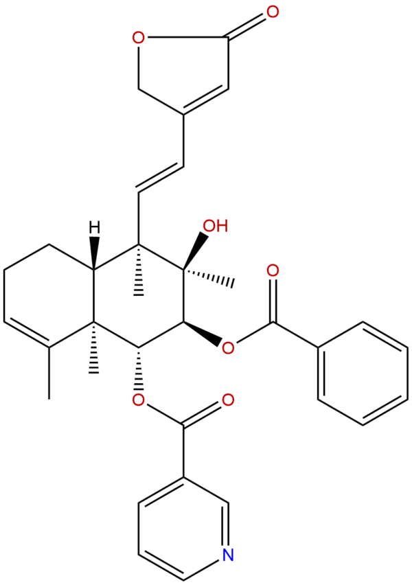 905929 95 5 - BIORLAB