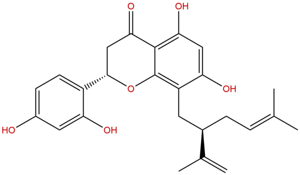 910ea80a174342861a98f67743a391aa - BIORLAB