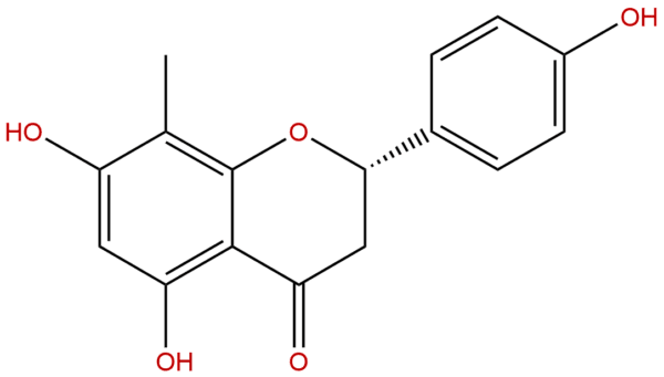 916917 28 7 - BIORLAB