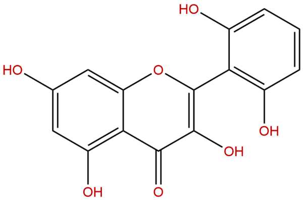 92519 95 4 - BIORLAB