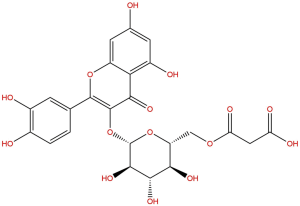 96862 01 0 - BIORLAB