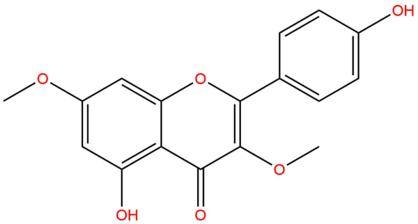 9d93df25ce4c16a91b32cbdd4ab8a3ca - BIORLAB