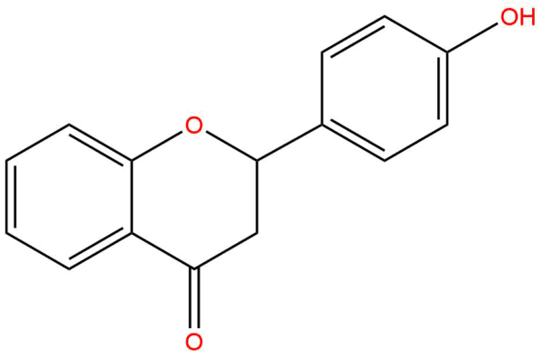 bc2ffbd23581cdf9623cdd78936923a7 - BIORLAB