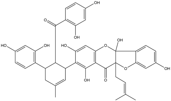 cf9554c8eae2a515ff439e2b6d47fb72 - BIORLAB