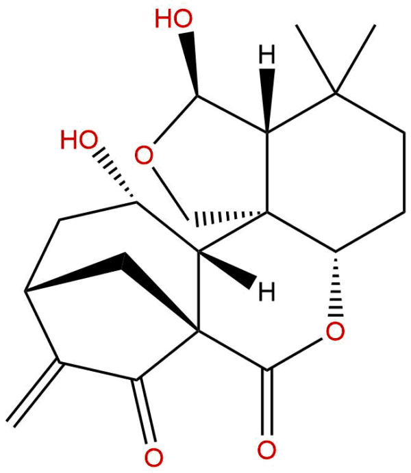 d32e6629ce6263aa38edf3e08079caba - BIORLAB