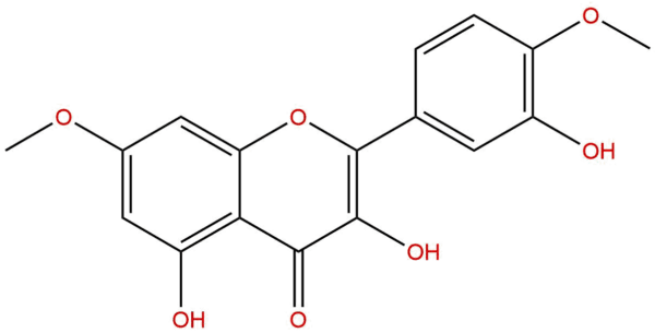 dde2c905dfbdb8b6e9c276910d3e8635 - BIORLAB