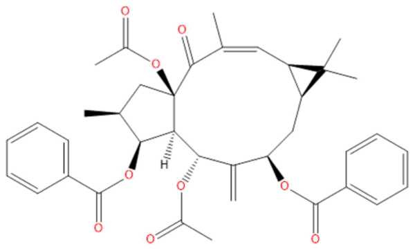 def6d5ce0fe03bcdab698ee0561f3168 - BIORLAB