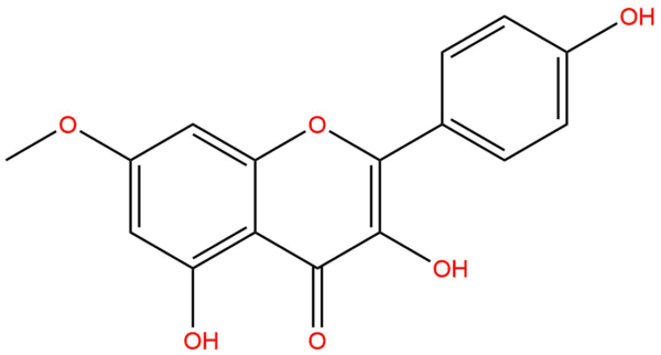 e0354efa3fd547bd8a03060e6859944e - BIORLAB