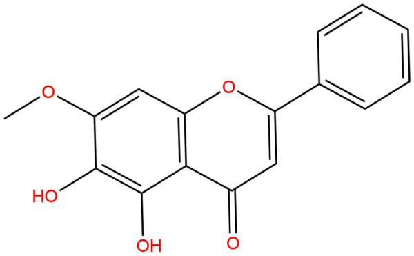 e7ca1b99b9bbb0c8b8ed5ac429cc2657 - BIORLAB