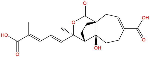 e829f40a4591efd640a54dbffc48426a - BIORLAB