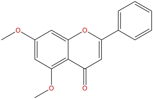 e9d20fc602ead86f0ae0620de04ef3e4 - BIORLAB