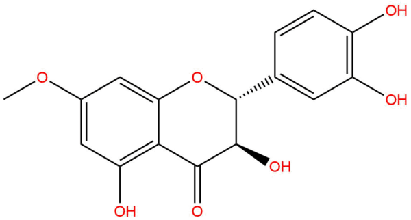 f2023f61c1be3ba21aac58c6a6837a8b - BIORLAB