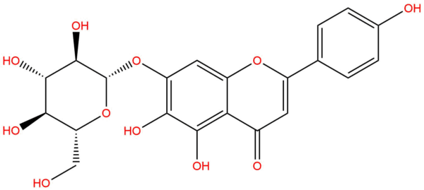 f3229eb1ab49de2a056c6a09cb02bb9c - BIORLAB