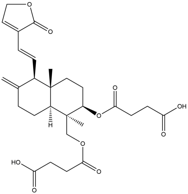 f9117d169ecd263a3a3c8e4c00298dc8 - BIORLAB