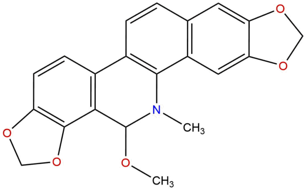 00646b5b1665cefd9abe5449b49bb19a - BIORLAB