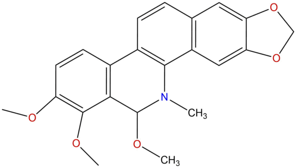 00c7a9fca1a4f7b923f24db12583755d - BIORLAB