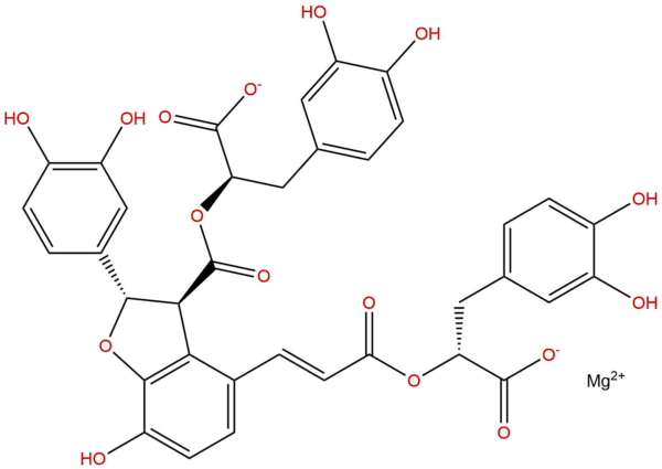 0bb6cb2fd0b8c9f303ed627016c99e6a - BIORLAB