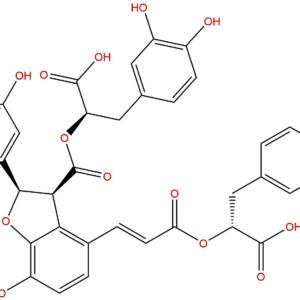 0d1b787ba73bfba77f065112055c12e9 - BIORLAB