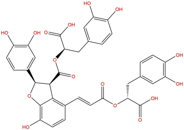 0d1b787ba73bfba77f065112055c12e9 - BIORLAB