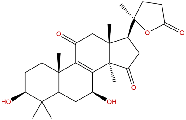 1028449 53 7 - BIORLAB