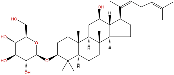 105558 26 7 - BIORLAB