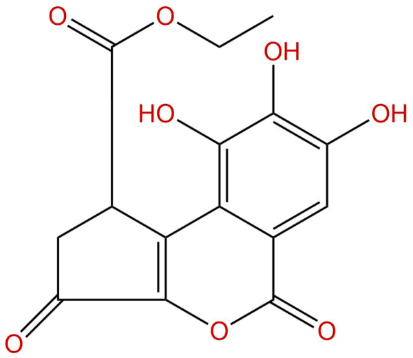 107646 82 2 - BIORLAB