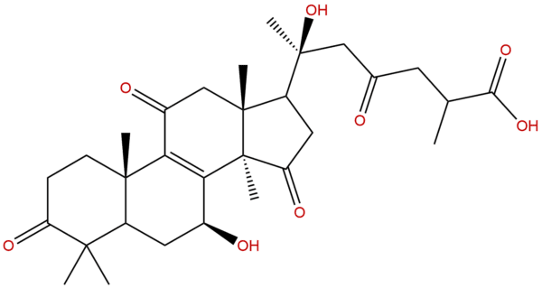 110241 19 5 - BIORLAB