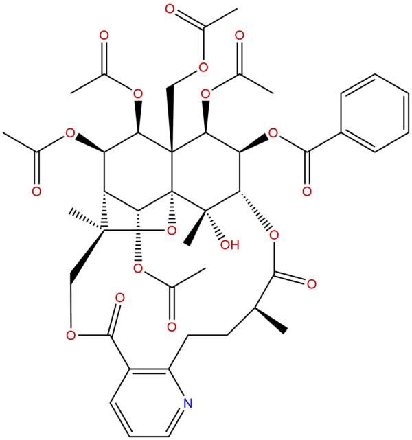 11088 09 8 - BIORLAB