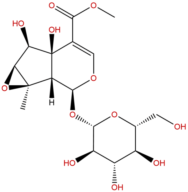 117479 87 5 - BIORLAB