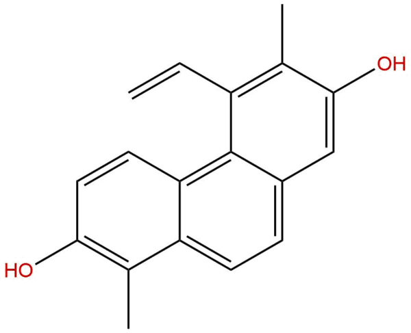 117824 04 1 - BIORLAB