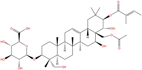 122168 40 5 - BIORLAB