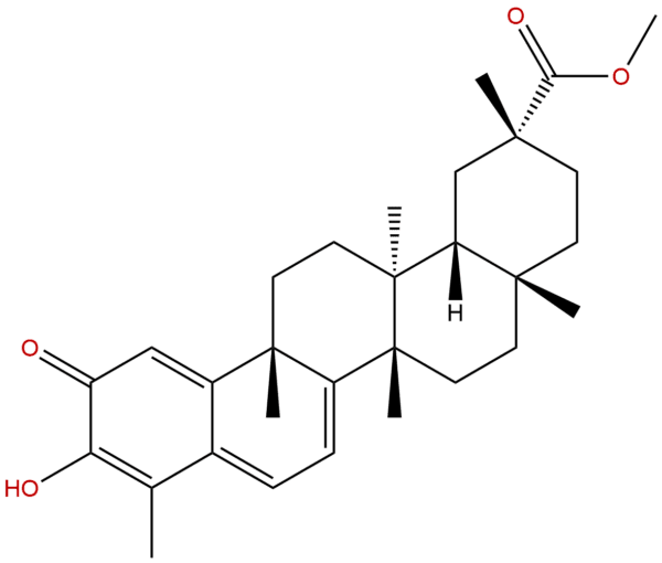 1258 84 0 - BIORLAB