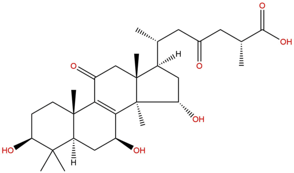 127d14927e18bb353be6a28ee6b124f3 - BIORLAB