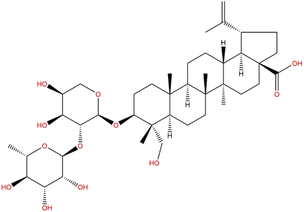 129724 84 1 - BIORLAB