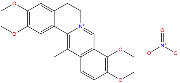 13005 09 9 - BIORLAB