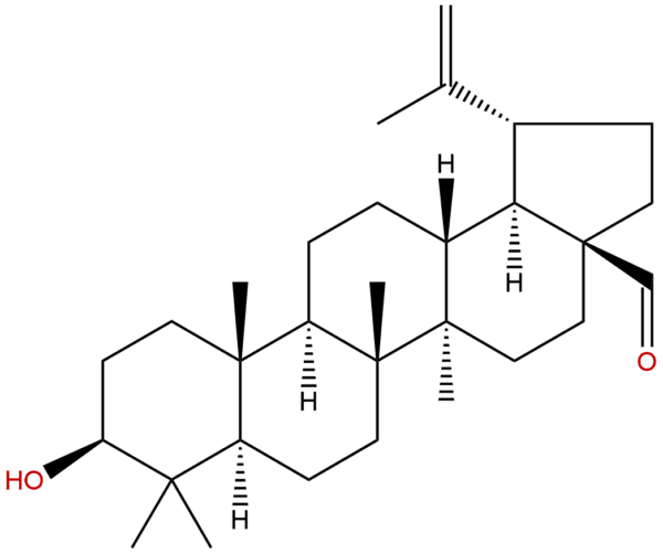 13159 28 9 - BIORLAB