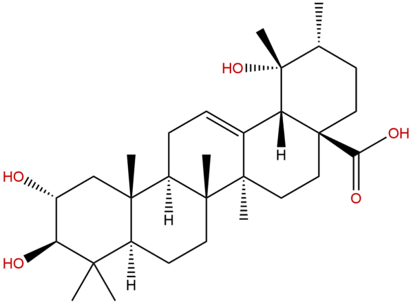 13850 16 3 - BIORLAB