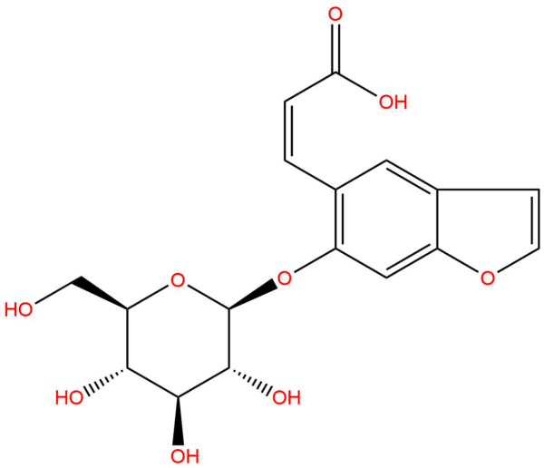 1414c197c1db90aaee5c54ed5322d799 - BIORLAB