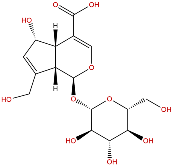 14259 55 3 - BIORLAB