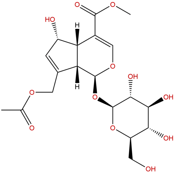 14260 99 2 - BIORLAB